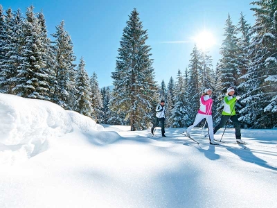 Cross-country skiing